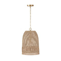 CAPITAL LIGHTING, NAOMI PENDANT, PENDANT LIGHT