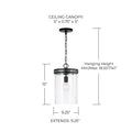 CAPITAL LIGHTING, FULLER PENDANT, PENDANT LIGHT