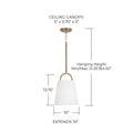 CAPITAL LIGHTING, BRODY PENDANT, PENDANT LIGHT