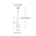 CAPITAL LIGHTING, DASH PENDANT, PENDANT LIGHT