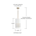 CAPITAL LIGHTING, DASH PENDANT, PENDANT LIGHT