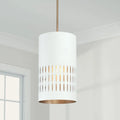 CAPITAL LIGHTING, DASH PENDANT, PENDANT LIGHT
