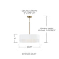 CAPITAL LIGHTING, DASH PENDANT, PENDANT LIGHT