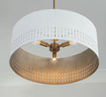 CAPITAL LIGHTING, DASH PENDANT, PENDANT LIGHT