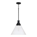 CAPITAL LIGHTING, PALOMA PENDANT, PENDANT LIGHT