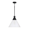 CAPITAL LIGHTING, PALOMA PENDANT, PENDANT LIGHT