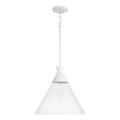 CAPITAL LIGHTING, PALOMA PENDANT, PENDANT LIGHT