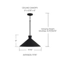CAPITAL LIGHTING, PALOMA PENDANT, PENDANT LIGHT