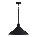 CAPITAL LIGHTING, PALOMA PENDANT, PENDANT LIGHT