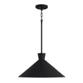 CAPITAL LIGHTING, PALOMA PENDANT, PENDANT LIGHT