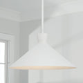 CAPITAL LIGHTING, PALOMA PENDANT, PENDANT LIGHT