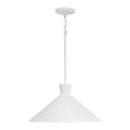 CAPITAL LIGHTING, PALOMA PENDANT, PENDANT LIGHT
