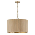 CAPITAL LIGHTING, DONOVAN PENDANT, PENDANT LIGHT
