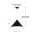 CAPITAL LIGHTING, ALDEN PENDANT, PENDANT LIGHT