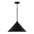 CAPITAL LIGHTING, ALDEN PENDANT, PENDANT LIGHT