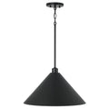 CAPITAL LIGHTING, ALDEN PENDANT, PENDANT LIGHT