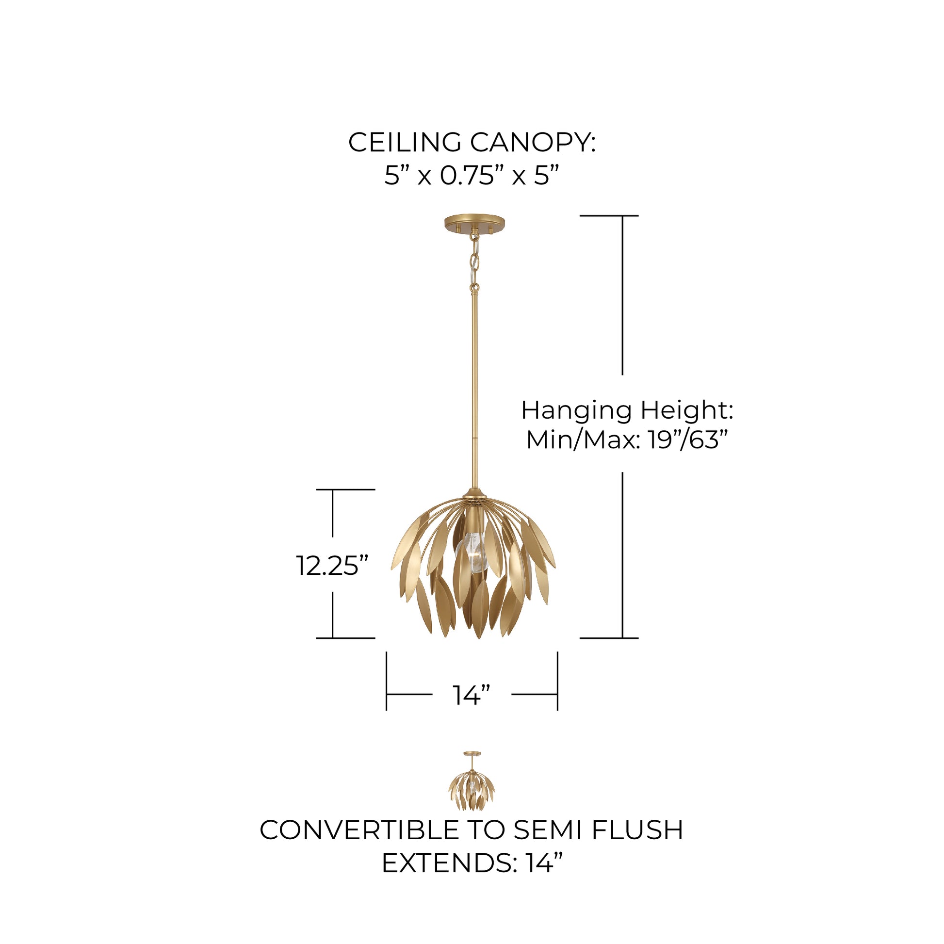 CAPITAL LIGHTING 351811GF 3141dadd-712d-40b1-8bc7-d2858519649d
