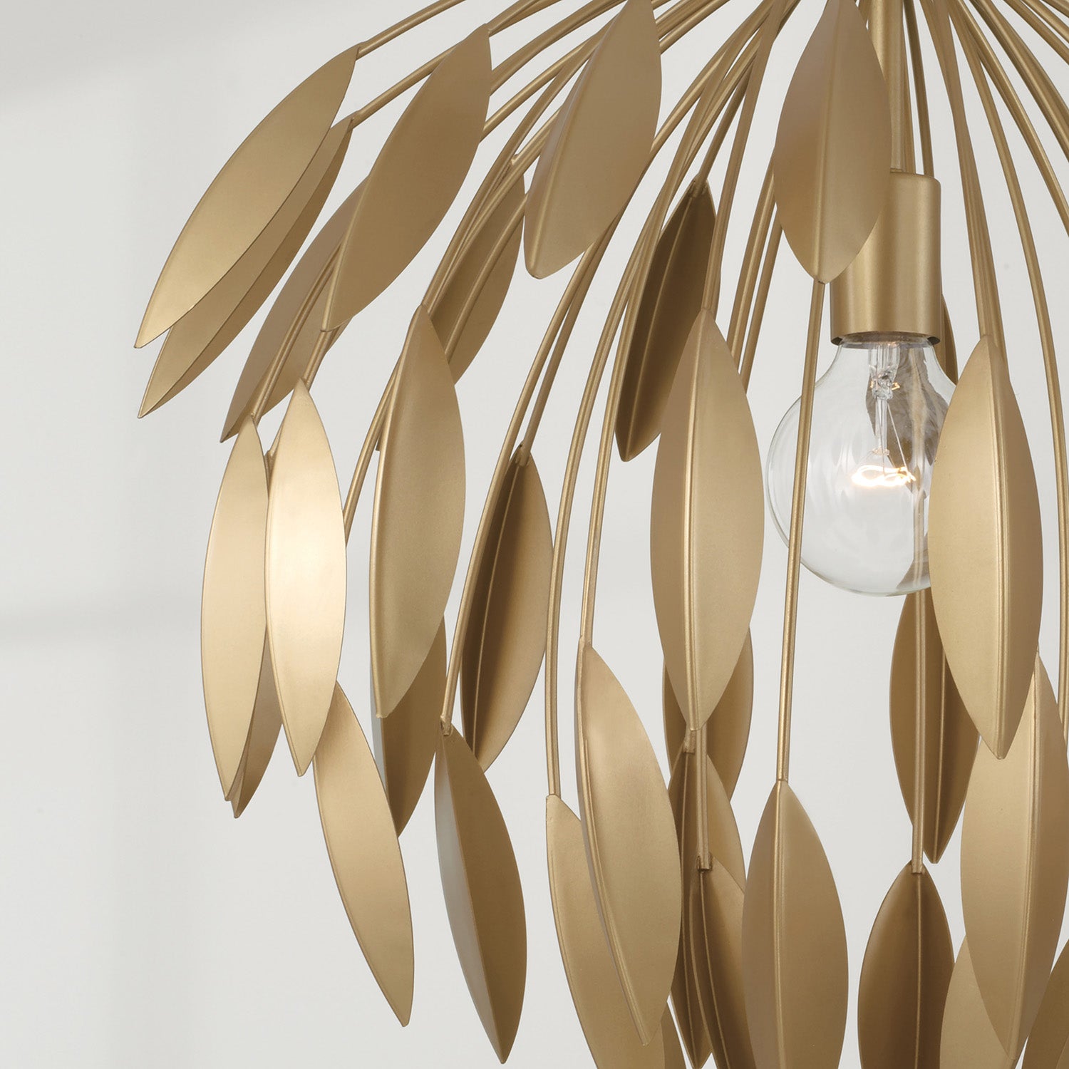 CAPITAL LIGHTING 351812GF 26b9d857-92ee-4385-9fce-f146f6f56ffb