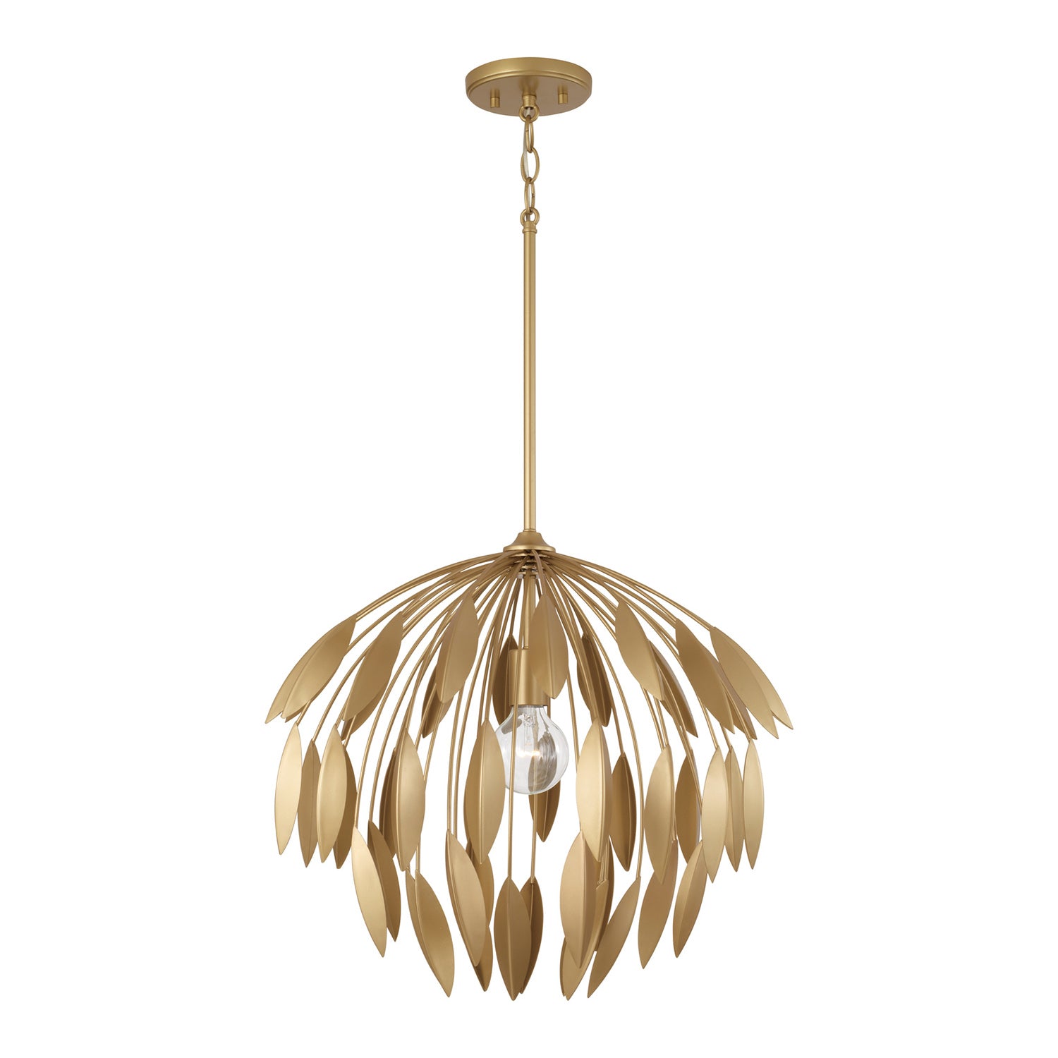 CAPITAL LIGHTING 351812GF cd2fd2fa-b75d-4baf-853e-7d9832853768