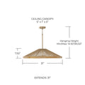 CAPITAL LIGHTING, MAYA PENDANT, PENDANT LIGHT