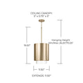 CAPITAL LIGHTING, WELLER PENDANT, PENDANT LIGHT