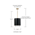 CAPITAL LIGHTING, WELLER PENDANT, PENDANT LIGHT