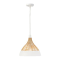 CAPITAL LIGHTING, KALI PENDANT, PENDANT LIGHT