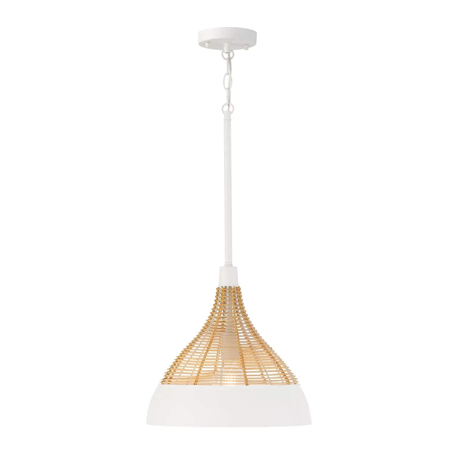 CAPITAL LIGHTING, KALI PENDANT, PENDANT LIGHT