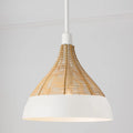 CAPITAL LIGHTING, KALI PENDANT, PENDANT LIGHT