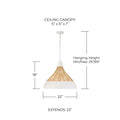 CAPITAL LIGHTING, KALI PENDANT, PENDANT LIGHT