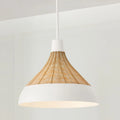 CAPITAL LIGHTING, KALI PENDANT, PENDANT LIGHT