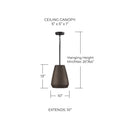 CAPITAL LIGHTING, DELLA PENDANT, PENDANT LIGHT