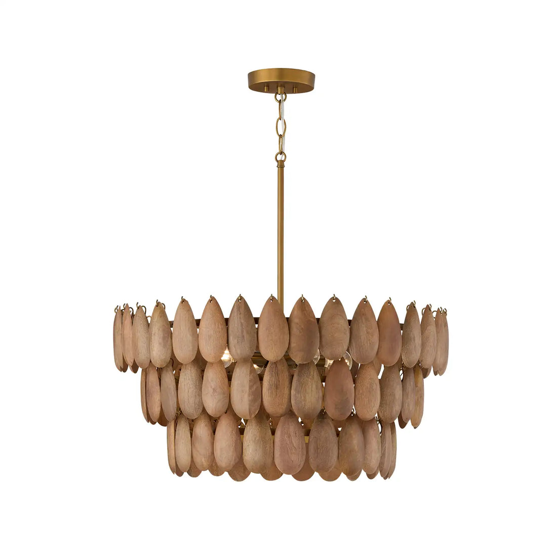 CAPITAL LIGHTING, RAVI PENDANT, PENDANT LIGHT