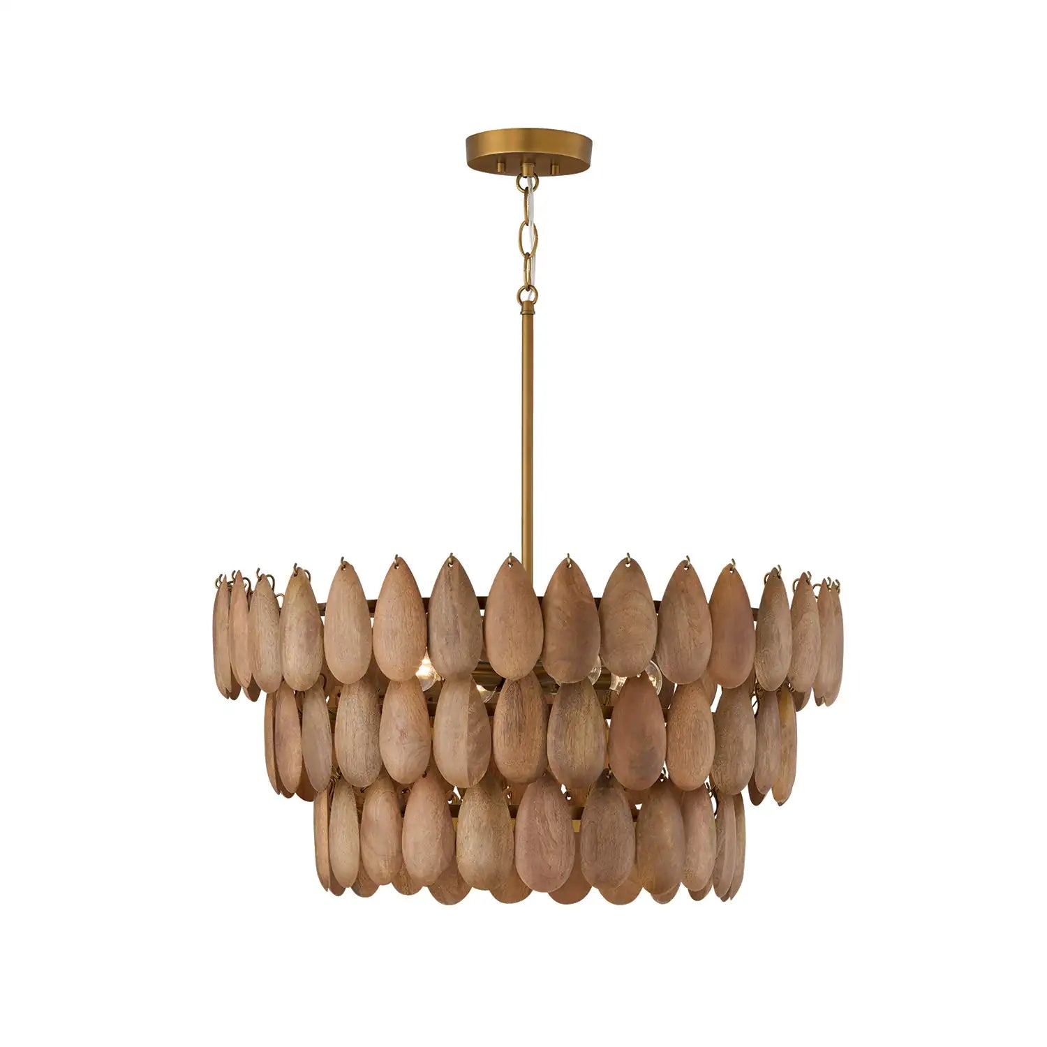 CAPITAL LIGHTING, RAVI PENDANT, PENDANT LIGHT