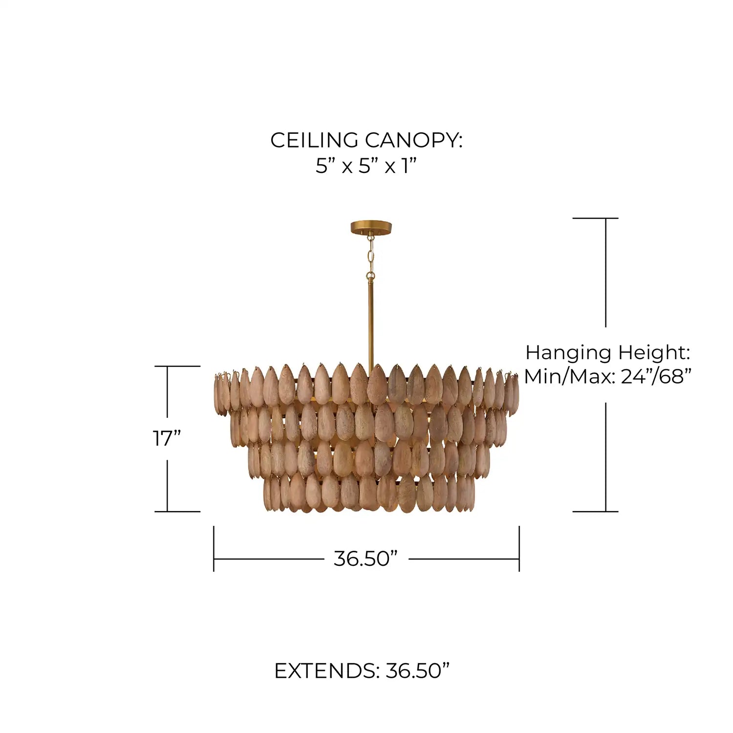 CAPITAL LIGHTING, RAVI PENDANT, PENDANT LIGHT