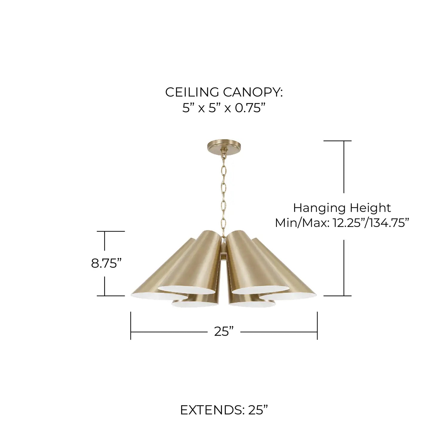 CAPITAL LIGHTING, LEO PENDANT, PENDANT LIGHT