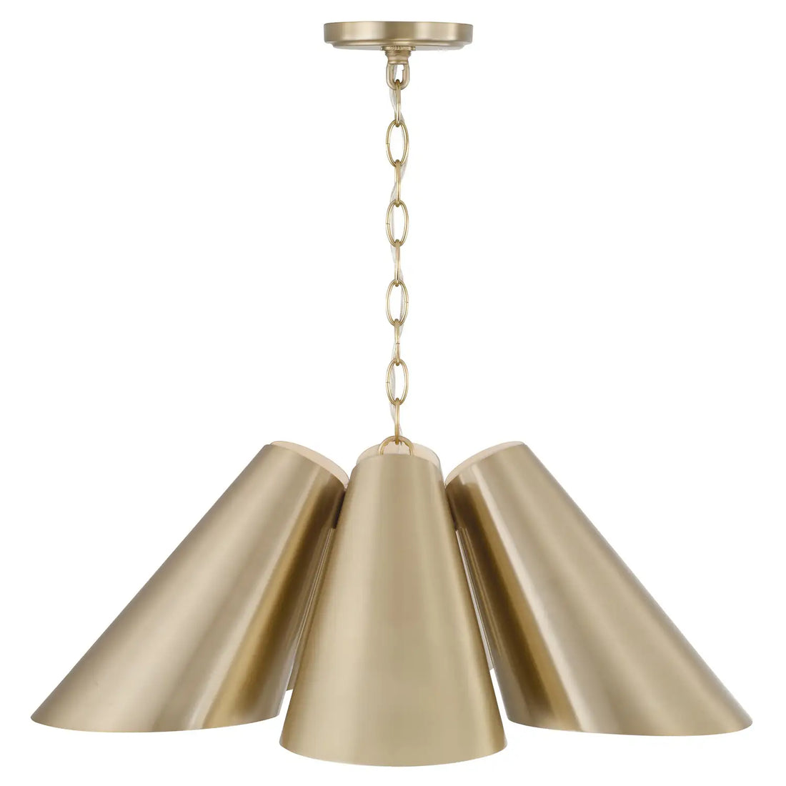 CAPITAL LIGHTING, LEO PENDANT, PENDANT LIGHT