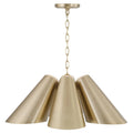 CAPITAL LIGHTING, LEO PENDANT, PENDANT LIGHT