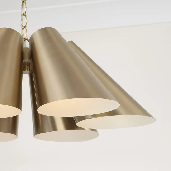 CAPITAL LIGHTING, LEO PENDANT, PENDANT LIGHT