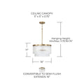 CAPITAL LIGHTING, VAUGHN PENDANT, PENDANT LIGHT