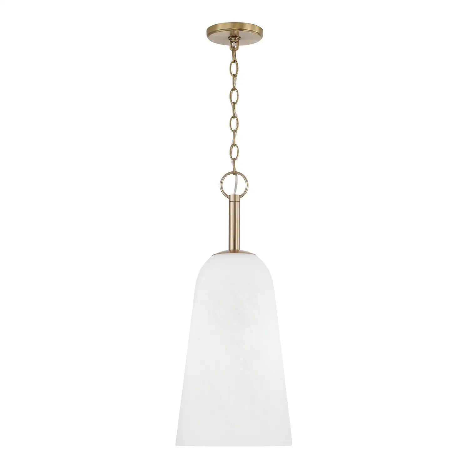 CAPITAL LIGHTING, ROMY PENDANT, PENDANT LIGHT