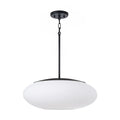 CAPITAL LIGHTING, SOREN PENDANT, PENDANT LIGHT