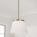 CAPITAL LIGHTING, DRAKE PENDANT, PENDANT LIGHT
