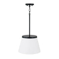 CAPITAL LIGHTING, DRAKE PENDANT, PENDANT LIGHT