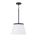 CAPITAL LIGHTING, DRAKE PENDANT, PENDANT LIGHT