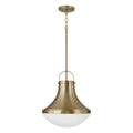 CAPITAL LIGHTING, ARLO PENDANT, PENDANT LIGHT