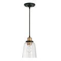 CAPITAL LIGHTING, FALLON PENDANT, PENDANT LIGHT