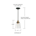 CAPITAL LIGHTING, FALLON PENDANT, PENDANT LIGHT