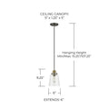 CAPITAL LIGHTING, FALLON PENDANT, PENDANT LIGHT