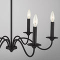 CAPITAL LIGHTING, VINCENT CHANDELIER, CHANDELIER LIGHT